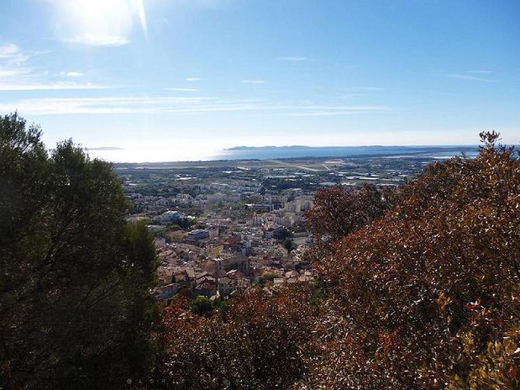 183 HYERES ET SES PALMIERS D03_000034.jpg